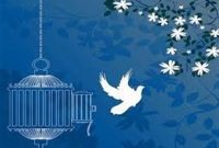 آزادی ۲ زندانی در همدان توسط اهالی رسانه به نیت سردارسلیمانی